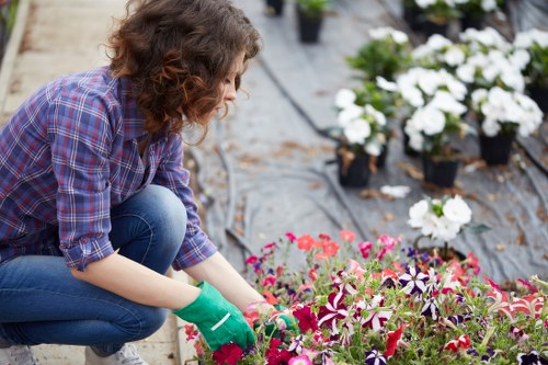 Operative documenting lawn condition and taking photographs