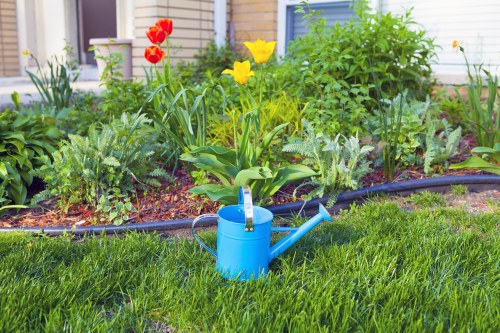 A vibrant garden scene featuring a neatly maintained lawn with lush, green grass in the foreground, bordered by a flower bed containing yellow and red tulips, as well as other flowering plants and leafy shrubs. Behind the flower bed, there are small bushes and taller plants, creating a layered landscape. To the right, a section of wooden decking is visible, leading up to a residential building with a light-colored exterior. A bright blue watering can sits on the grass, suggesting ongoing garden maintenance. The overall composition indicates an active outdoor space designed for aesthetic appeal and practical gardening, typical of properties in West Ham, with natural sunlight illuminating the scene under clear weather conditions. This setting is representative of residential garden care provided by local gardening services such as Lawn Mowing West Ham, emphasizing well-kept lawns, flower beds, and outdoor plants.
