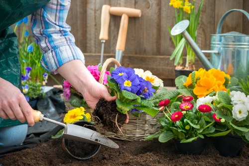 A gardener's hand is seen holding a vibrant purple primula flower with its root ball, preparing to plant it into the dark, tilled soil of a garden bed. Surrounding the gardener are various colorful flowering plants, including yellow primulas and red-pink primulas, in black plastic pots and woven baskets, awaiting planting. In the background, a wooden garden fence is visible, along with a metal watering can and a bucket, indicating an ongoing gardening activity. The scene suggests a well-maintained outdoor space typical of West Ham, with a focus on flower planting and garden enhancement, supported by gardening services. The natural lighting highlights the rich textures of the soil, the bright blooms, and green foliage, creating an inviting, lush garden atmosphere perfect for outdoor landscaping and plant care.