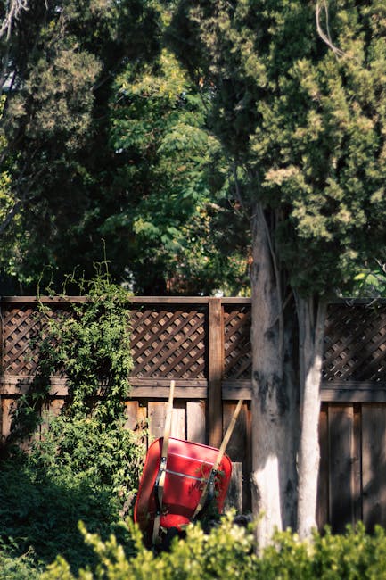 A garden scene featuring a weathered wooden fence with a lattice top, surrounded by lush greenery including tall trees with textured bark and dense foliage. In the foreground, there are well-maintaine