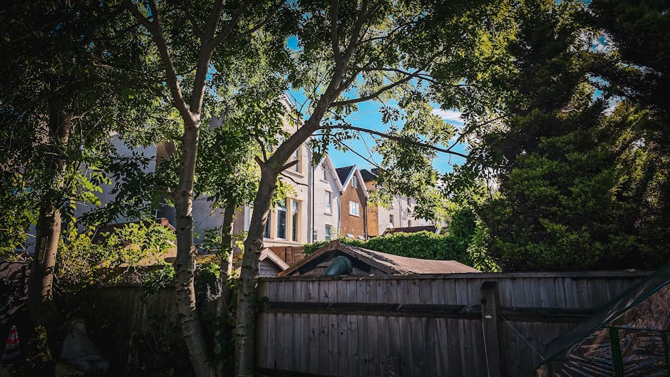 A residential garden scene viewed from below, with several tall trees with green foliage and textured bark creating a canopy that filters sunlight onto the garden area. Behind the trees, there are mul