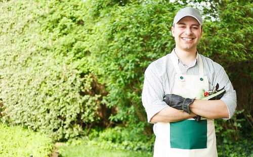 Seasonal lawn care services