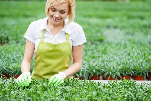 Eco-friendly lawn maintenance practices